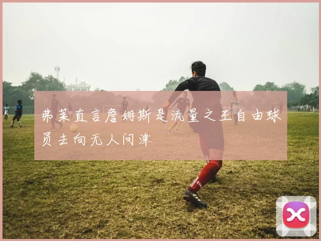 弗莱直言詹姆斯是流量之王自由球员去向无人问津